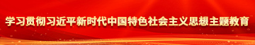 啊插我舔用力视频学习贯彻习近平新时代中国特色社会主义思想主题教育