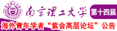 少妇无码中文字幕南京理工大学第十四届海外青年学者紫金论坛诚邀海内外英才！